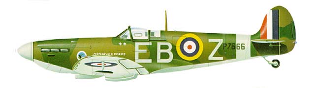 Belgian Spitfire 1940